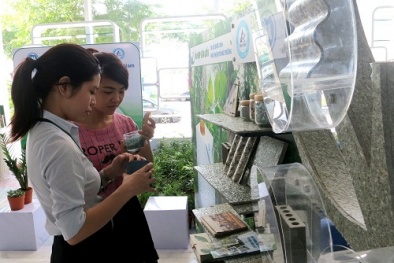 Đổi vỏ hộp sữa lấy cây xanh